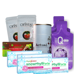 Platinum Package (8 Months)
